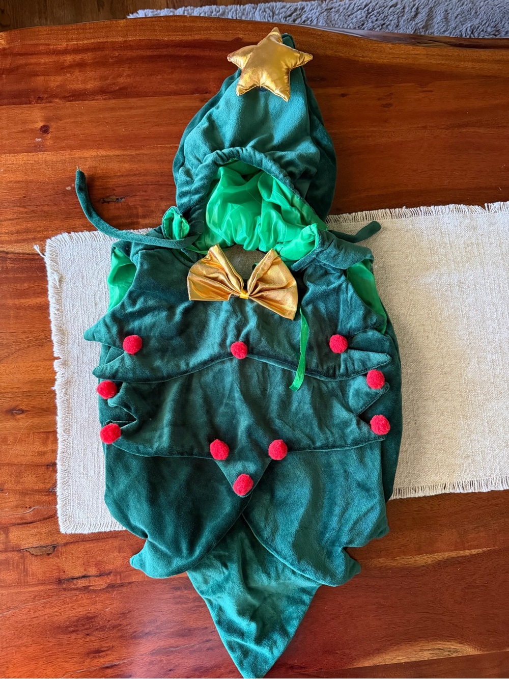Kids Green Christmas Tree Costume with Gold Star Bow
